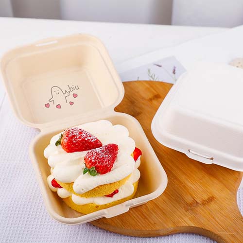 Compostable Sugarcane Bakery Takeaway Box
