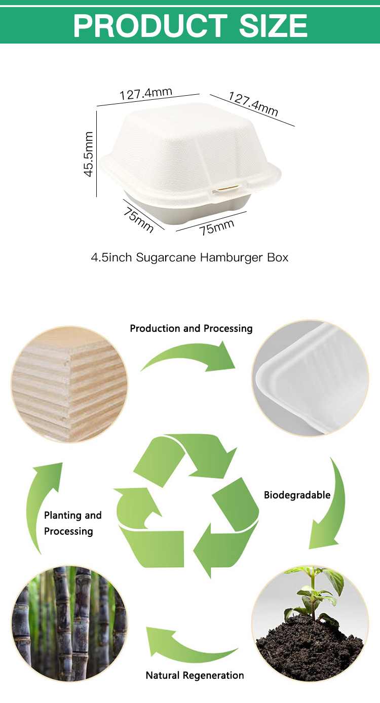 Compostable Sugarcane Bakery Takeaway Box