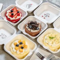 Compostable Sugarcane Cake Packaging Box