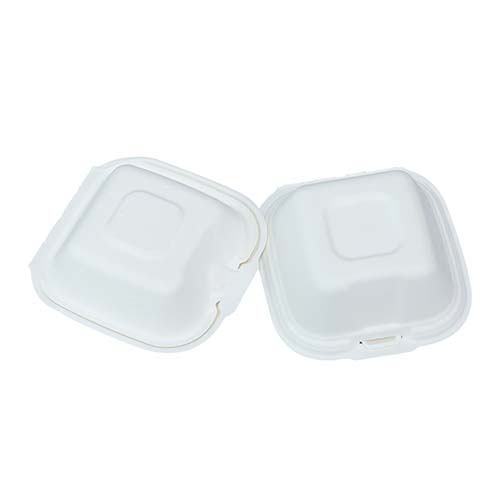 Compostable Sugarcane Cake Packaging Box