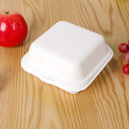 Compostable Sugarcane Cake Packaging Box