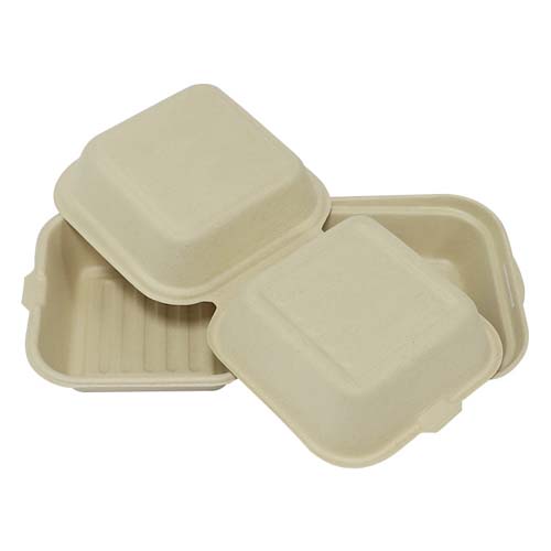 Compostable Sugarcane Cake Packaging Box