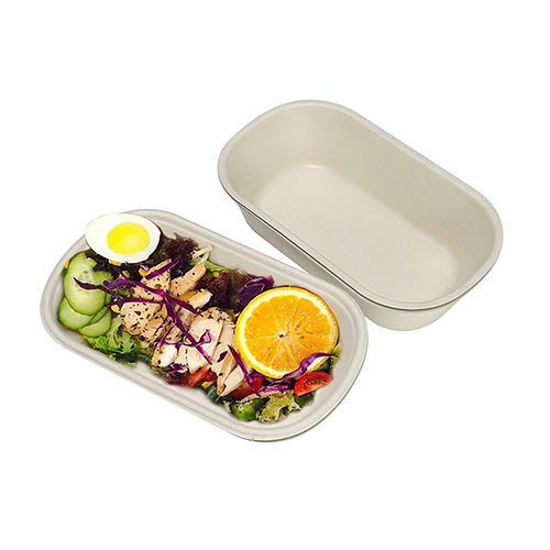 Compostable Sugarcane Festival Food Container