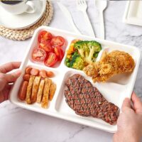 Compostable Sugarcane Street Food Tray