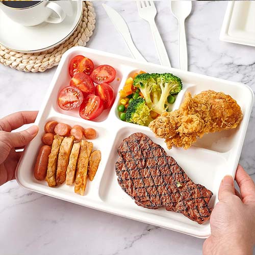 Compostable Sugarcane Street Food Tray