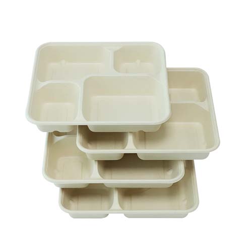 Compostable Sugarcane Sushi Tray