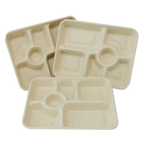 Compostable Sugarcane Sushi Tray