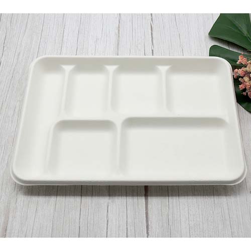 Compostable Sugarcane Sushi Tray
