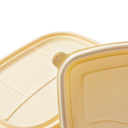 Cornstarch 650ml Takeaway Lunch Box