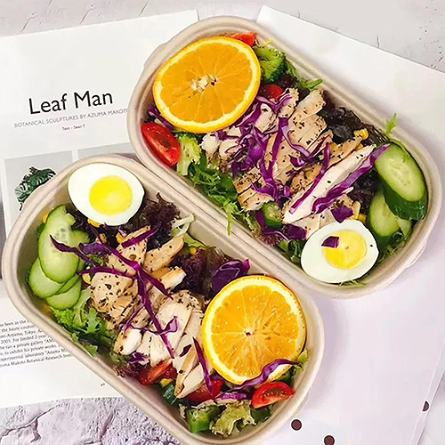 Disposable Eco-Friendly Sugarcane Lunch Boxes