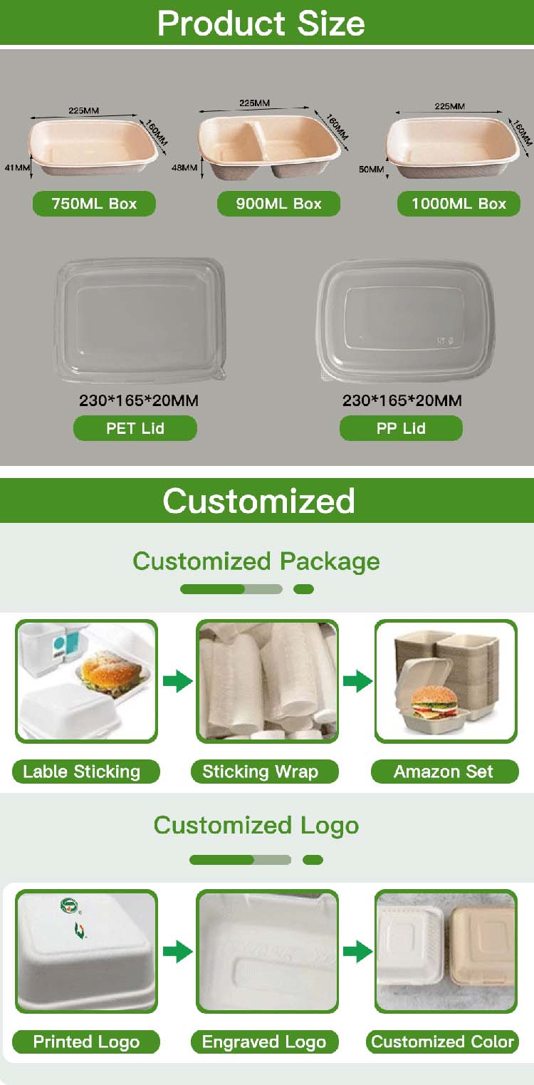 Disposable Eco-Friendly Sugarcane Lunch Boxes