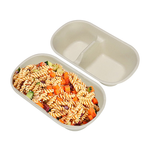 Eco-Friendly Disposable Sugarcane Food Containers