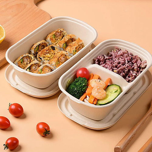 Eco-Friendly Takeaway Packaging Guide for Food Businesses