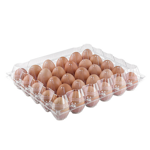 Lightweight Plastic Duck Eggs Trays