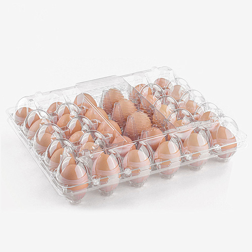Lightweight Plastic Eggs Trays