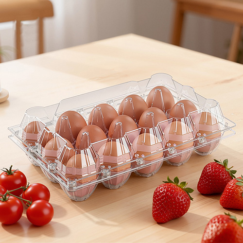 Lightweight Plastic Eggs Trays