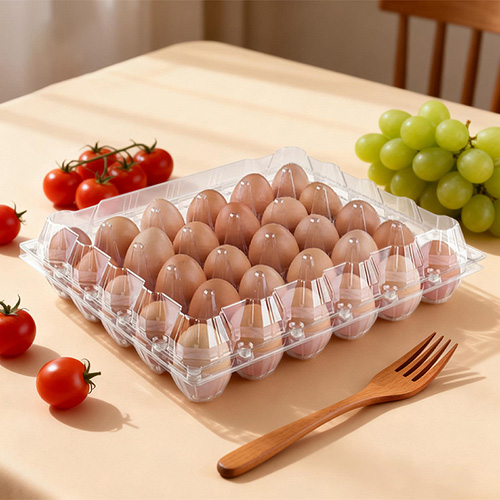 Lightweight Plastic Eggs Trays