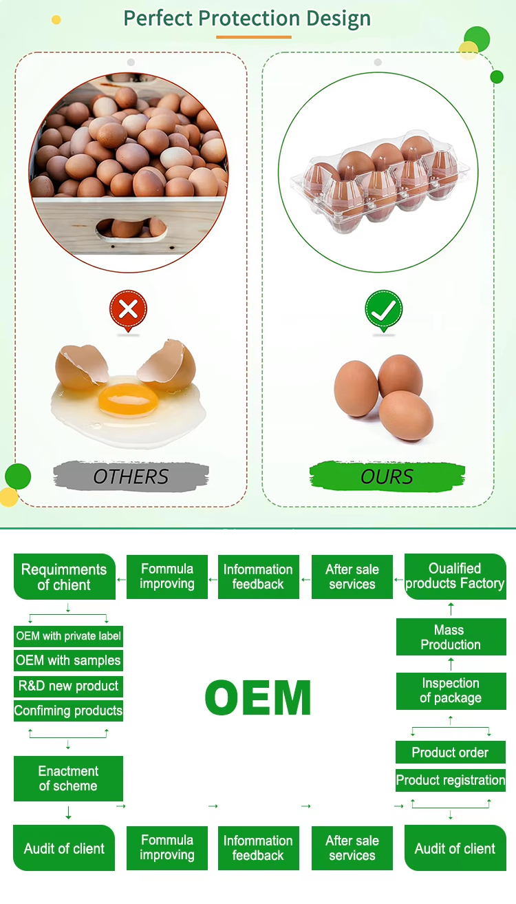 Lightweight Plastic Eggs Trays