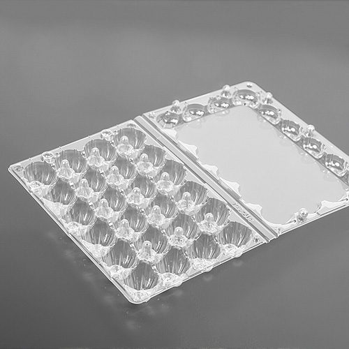 Lightweight Plastic Quail Eggs Trays