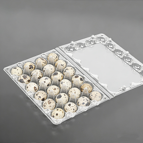 Lightweight Plastic Quail Eggs Trays