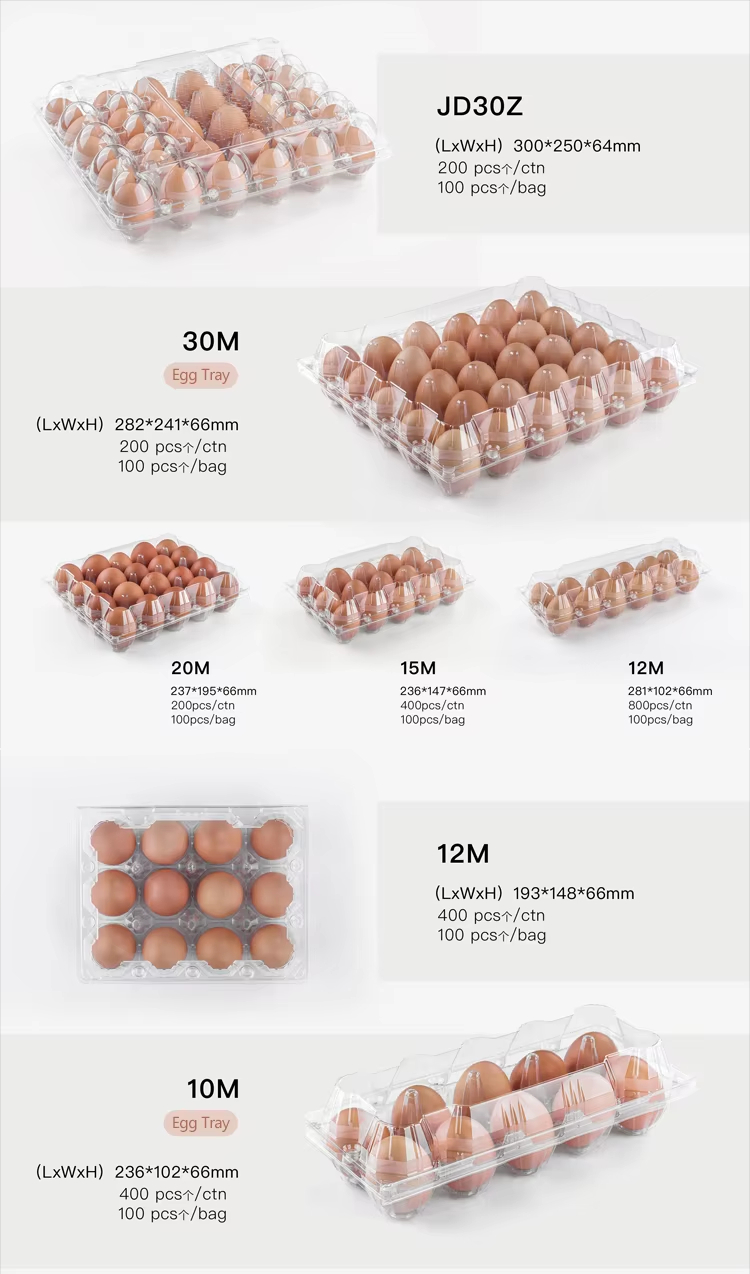 Lightweight Plastic Quail Eggs Trays