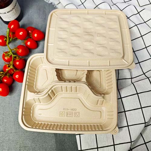 Rice Husk 600ml Food Container