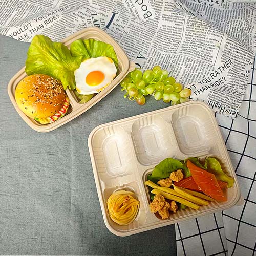 Rice Husk 600ml Food Container