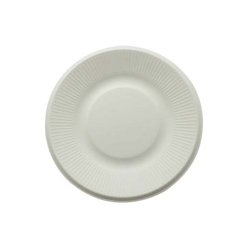 Sugarcane Bagasse Catering Serving Plate