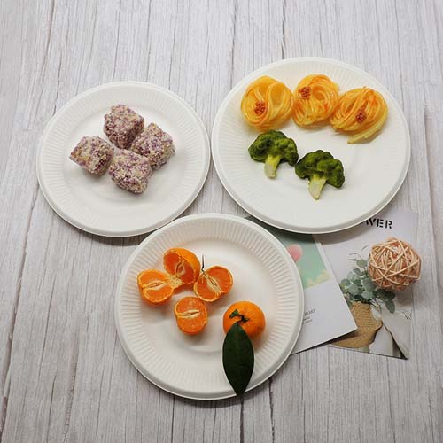 Sugarcane Bagasse Catering Serving Plate