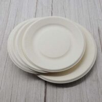 Sugarcane Bagasse Catering Serving Plate