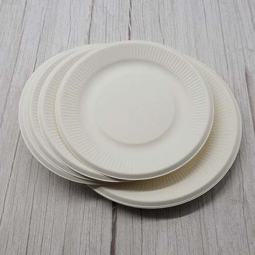 Sugarcane Bagasse Catering Serving Plate