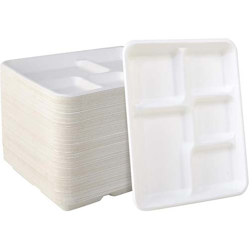 Sugarcane Bagasse Fruit Packaging Tray