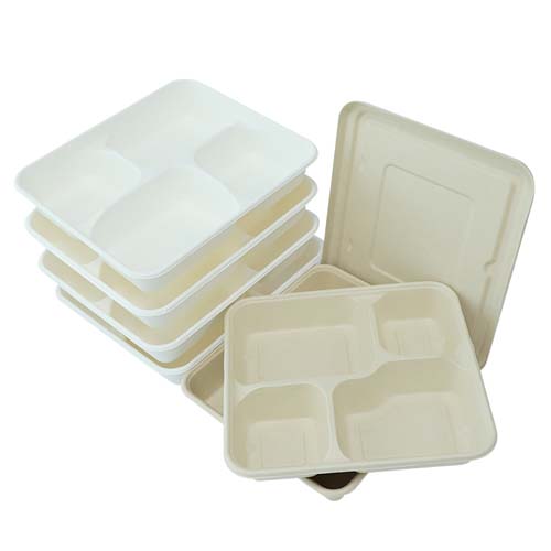 Sugarcane Bagasse Fruit Packaging Tray