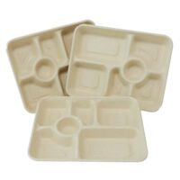 Sugarcane Bagasse Fruit Packaging Tray