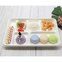 Sugarcane Bagasse Snack Serving Tray