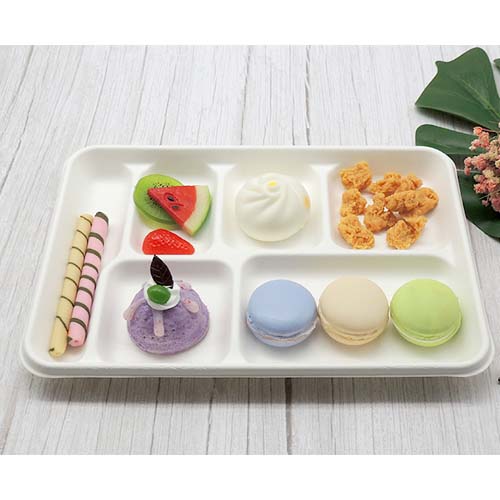 Sugarcane Bagasse Snack Serving Tray