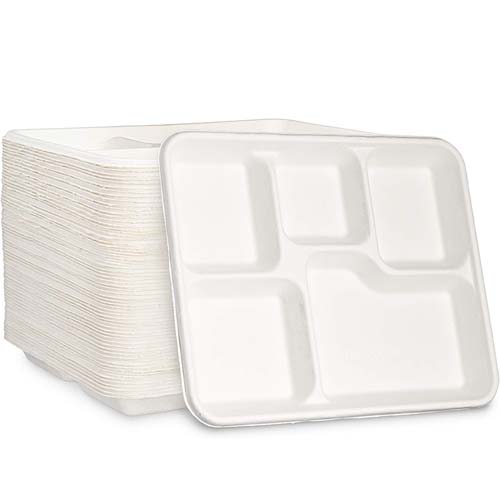 Sugarcane Bagasse Sushi Takeout Tray