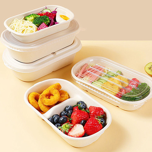 Sugarcane Plant-Based Disposable Tableware