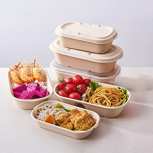 Sustainable Sugarcane Food Packaging