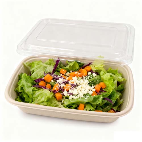 Biodegradable Food Service Sugarcane Products