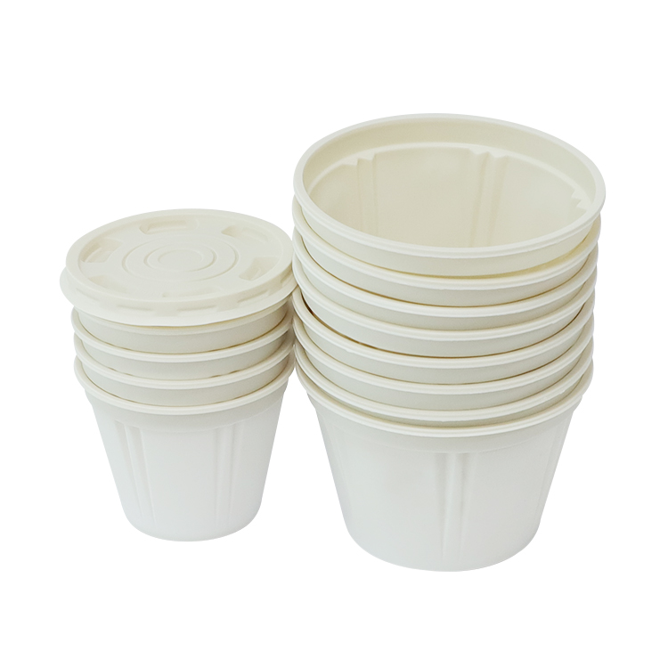 Cornstarch Disposable Bowl