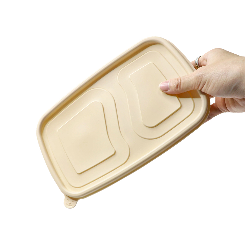 Cornstarch Food Container With Lid