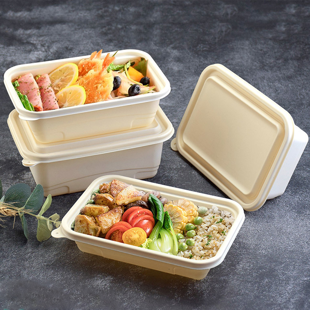 Cornstarch Food Container With Lid