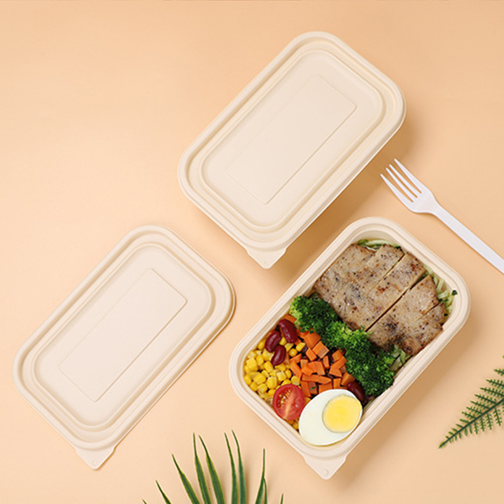 Cornstarch Food Container With Lid