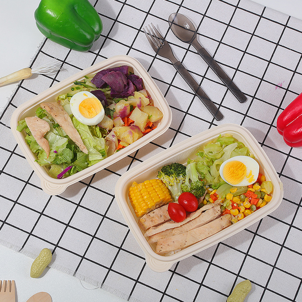 Cornstarch Meal Container