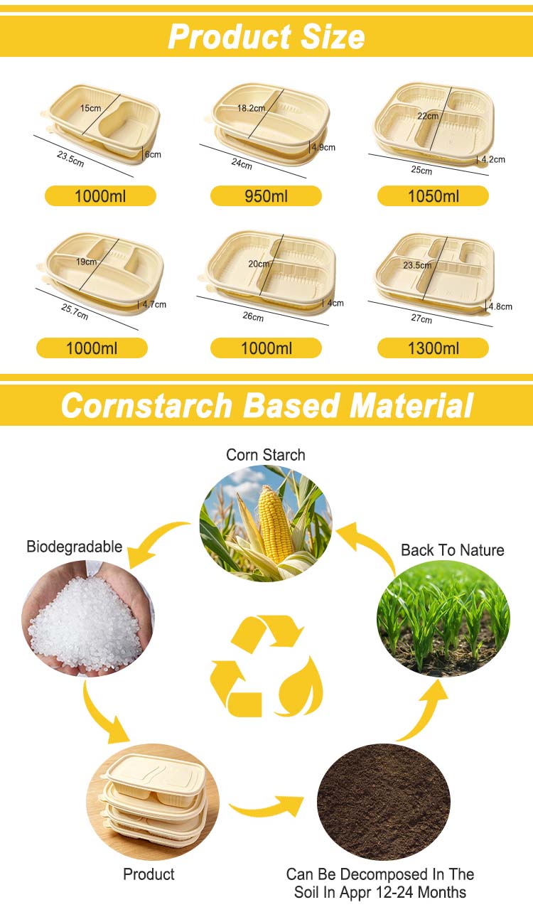 Cornstarch Meal Container