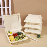 Cornstarch Takeaway Box