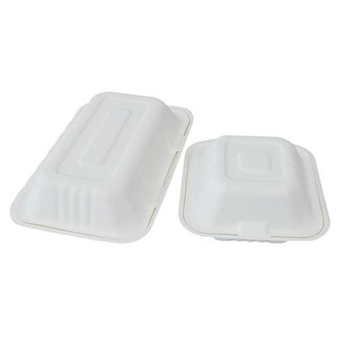 Custom Sugarcane Bagasse Food Container