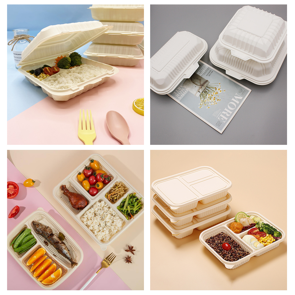 FDA vs EN13432 Which Certification Does Food Packaging Need