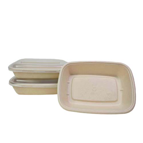 OEM Compostable Sugarcane Food Packaging
